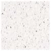 Armstrong Flooring Multicolor 45-Piece 12-in X 12-in Cirque White Glue (Adhesive) Commercial VCT Tile