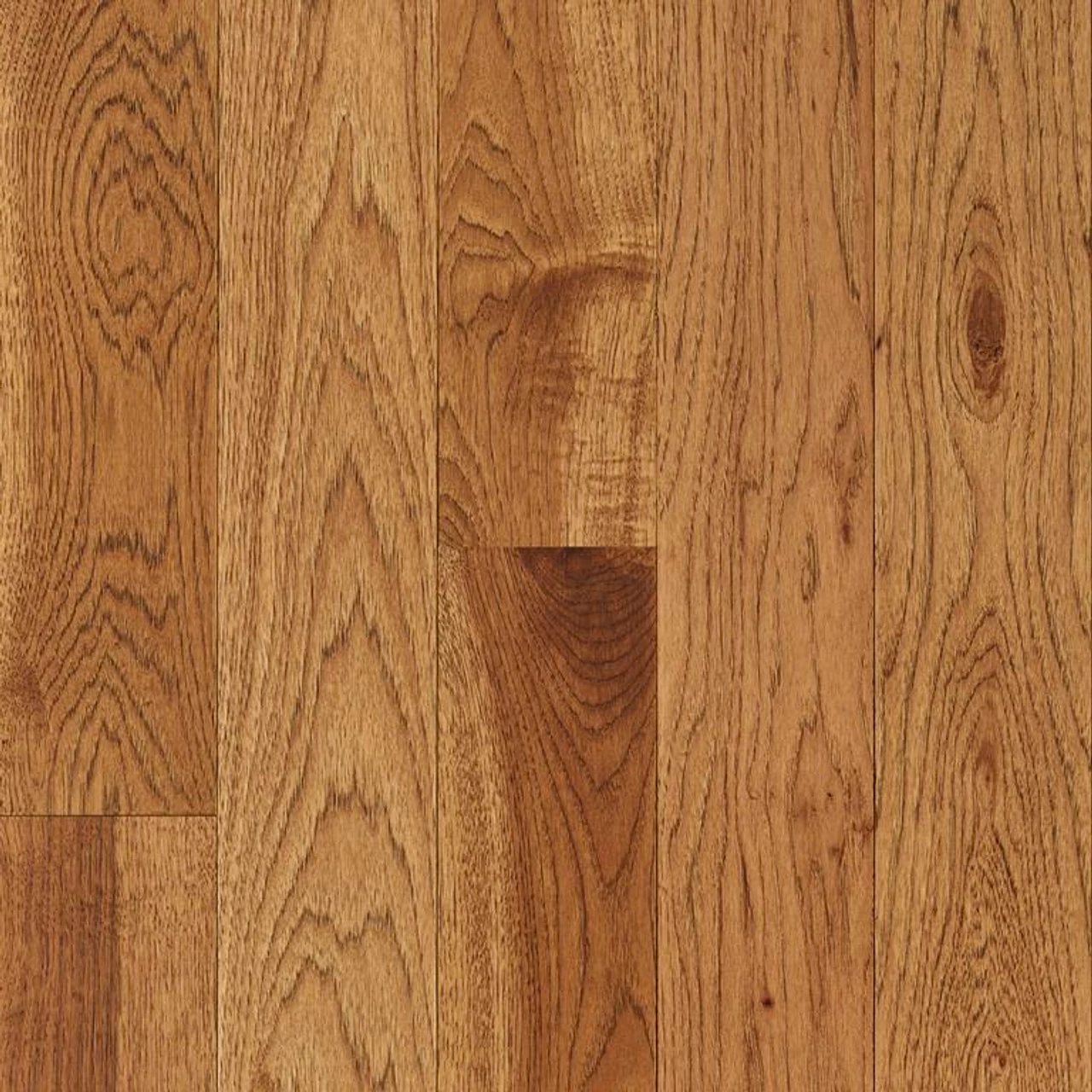 Robbins Natural Forest Smooth Hickory NFSH120S Suede Brown 3/4" X 3-1/4" Hickory Hardwood Flooring 1 Robbins Natural Forest Smooth Hickory NFSH120S Suede Brown 3/4" X 3-1/4" Hickory Hardwood Flooring