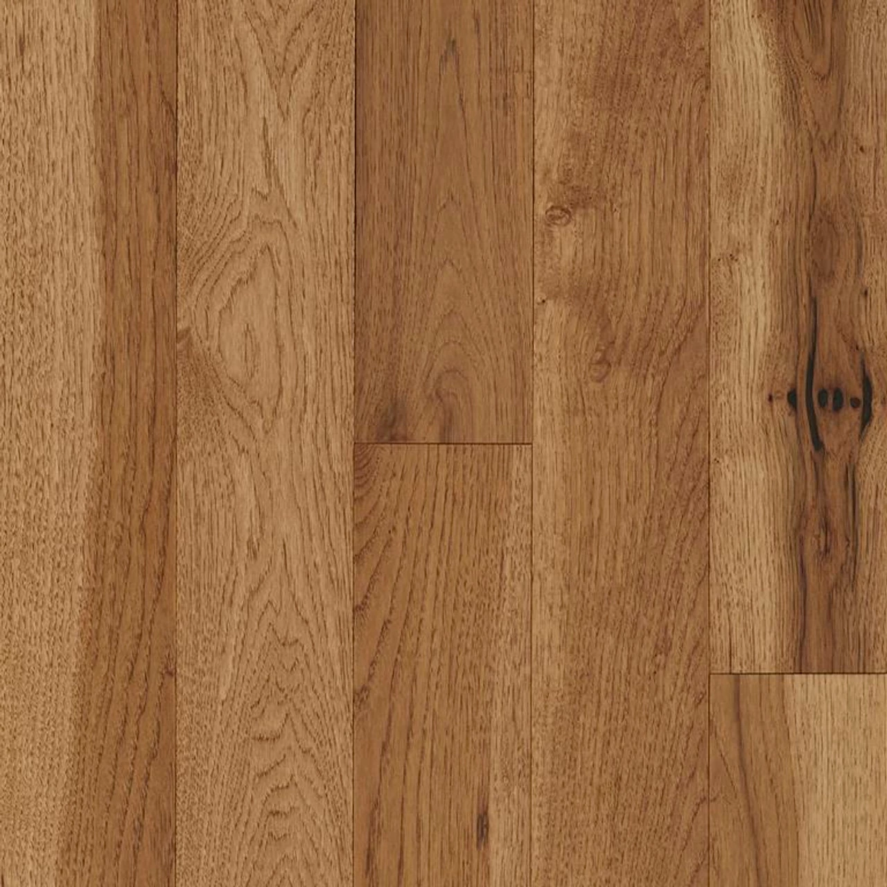 Robbins Natural Forest Smooth NFSH150S Creek Trail 3/4" X 3-1/4" Hickory Hardwood Flooring 1 Robbins Natural Forest Smooth NFSH150S Creek Trail 3/4" X 3-1/4" Hickory Hardwood Flooring