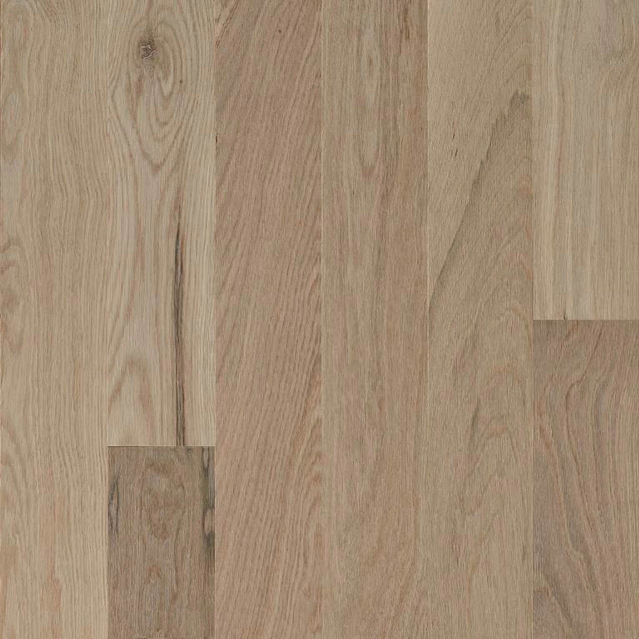 Robbins Natural Forest Smooth NFSK432S Totally Tan 3/4" X 4" Oak Hardwood Flooring 1 Robbins Natural Forest Smooth NFSK432S Totally Tan 3/4" X 4" Oak Hardwood Flooring