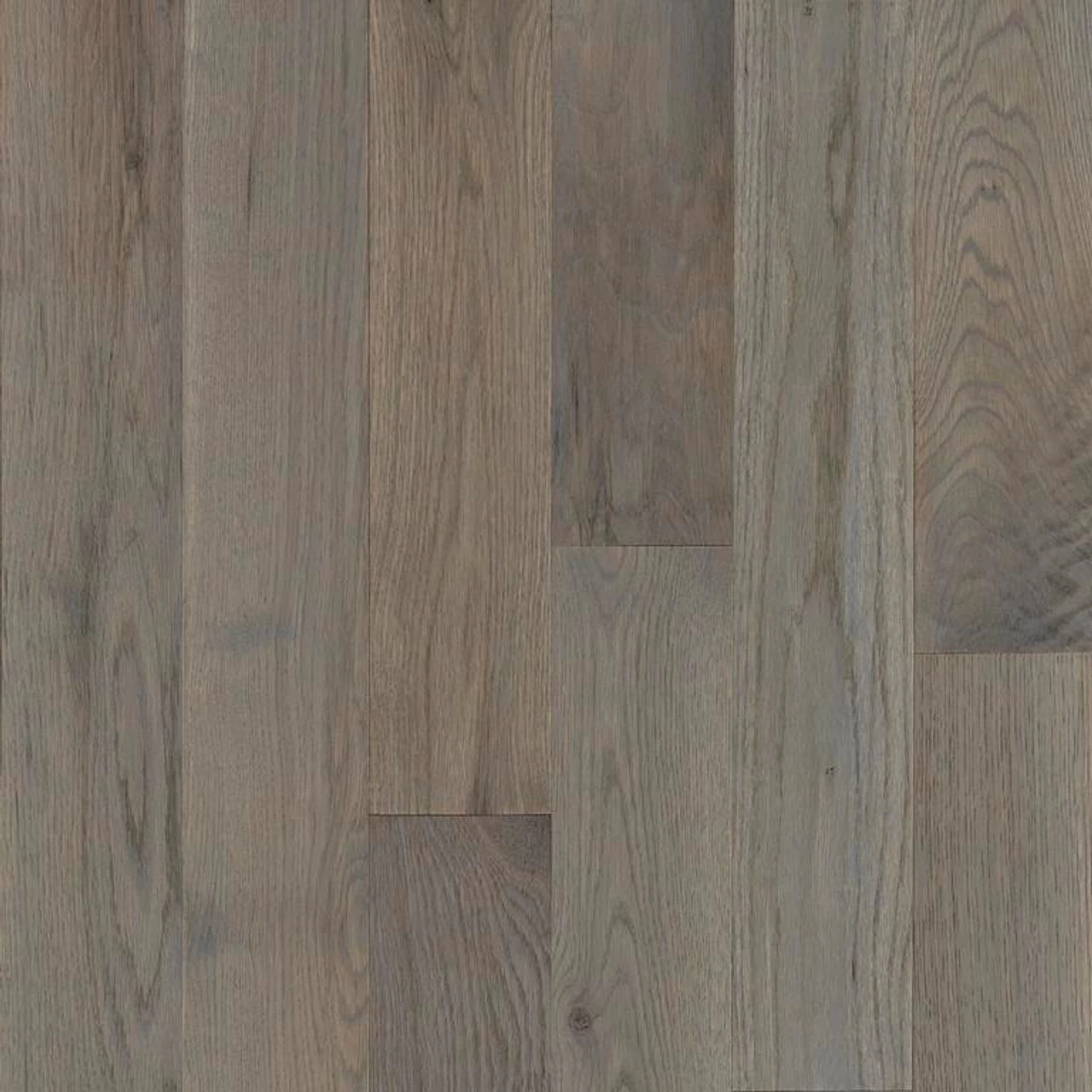 Robbins Natural Forest Smooth NFSK452S Winter Neutral 3/4" X 4" Oak Hardwood Flooring 1 Robbins Natural Forest Smooth NFSK452S Winter Neutral 3/4" X 4" Oak Hardwood Flooring
