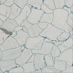 Flexco Dissipative Tile Gray/Dark Gray 24-in X 24-in Vinyl Tile Flooring (4-sq Ft)