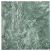 Achim Nexus Verde Marble Vein 12-in X 12-in Peel And Stick Vinyl Tile Flooring (20-sq Ft)