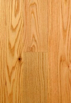 Nubrisa Premier Flooring SPKDF59H201 Native Oak 3/4" X 5" Oak Hardwood Flooring