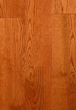 Nubrisa Premier Flooring SPKDF59H202 American Oak 3/4" X 5" Oak Hardwood Flooring