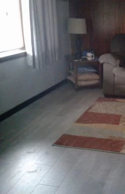 BuildDirect Ultra Grey 12mm 48" X 6.7" Laminate Flooring (26.68sq. Ft. Per Box) 14 BuildDirect Ultra Grey 12mm 48" X 6.7" Laminate Flooring (26.68sq. Ft. Per Box) -Carpet Floor Shop 4d595861 9cfe 4c78 b2c4 1f8235257db6 1.f9c584c699ac2cfc7007b6392da5ce35 1800x1800